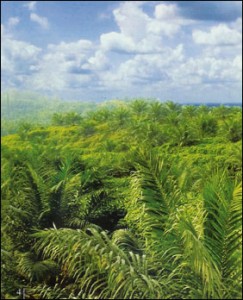 Palm oil forest